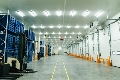 Why Plastic is the Best material for food grade pallets