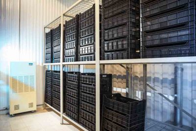 plastic pallets cost; plastic pallet cost